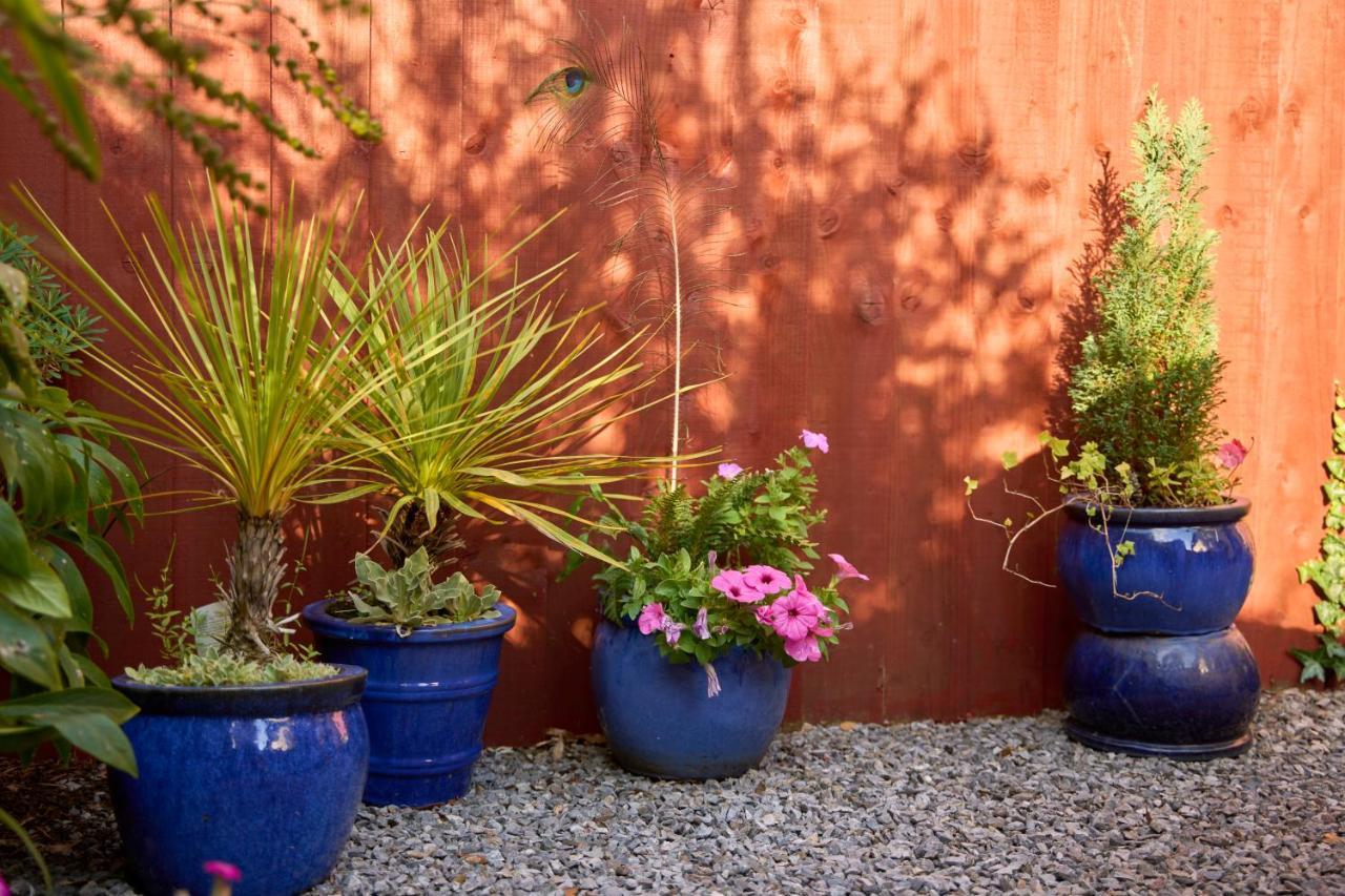 Bossell Devon Holiday home Buckfastleigh