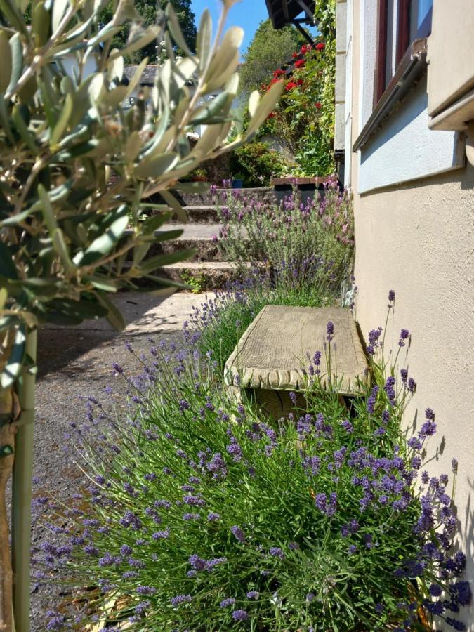 Holiday home Bossell Devon *